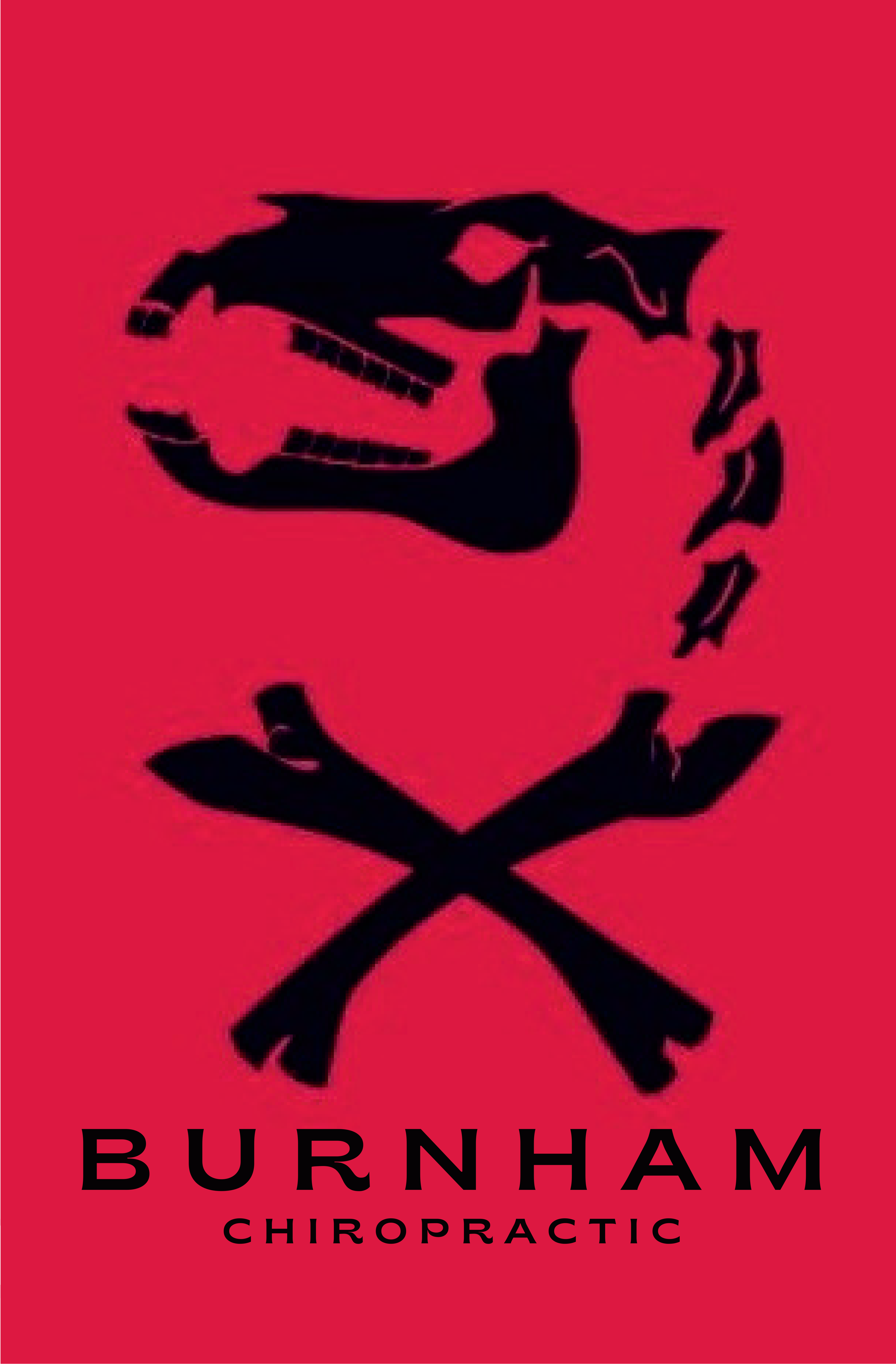 Burnham Chiropractic logo